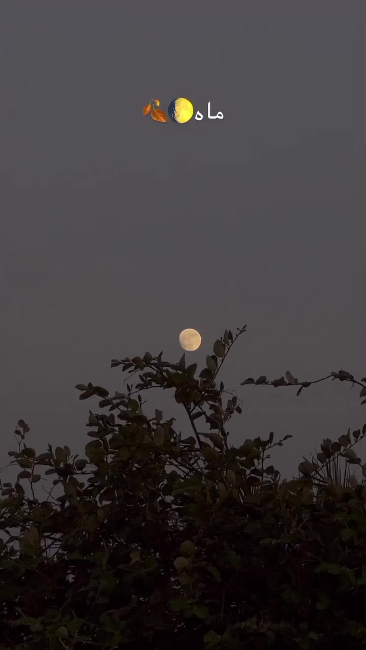 @🦋⃟⃟ ͥ ͣ ͫ نازش ماشکیلی👰࿐