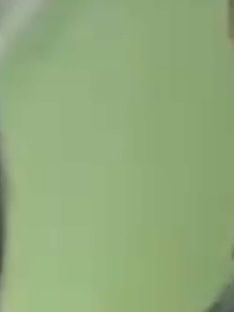 @🤍