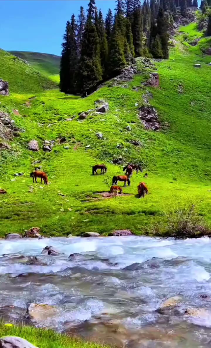 @Raja Touqeer Ahmed