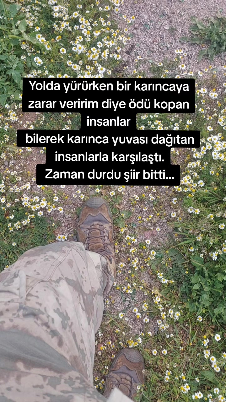 @𝐌𝐘 𝐋𝐈𝐅𝐄 𝐌𝐘 𝐑𝐔𝐋𝐄𝐒