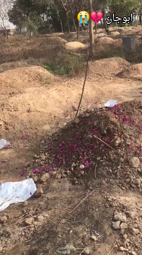 @احمر مشتاق احمد ورک ✨️🇿🇦😘