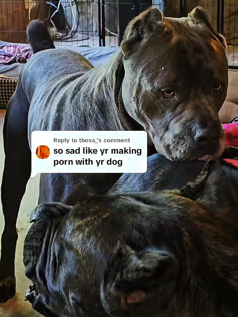 @SalmonCreekCaneCorso