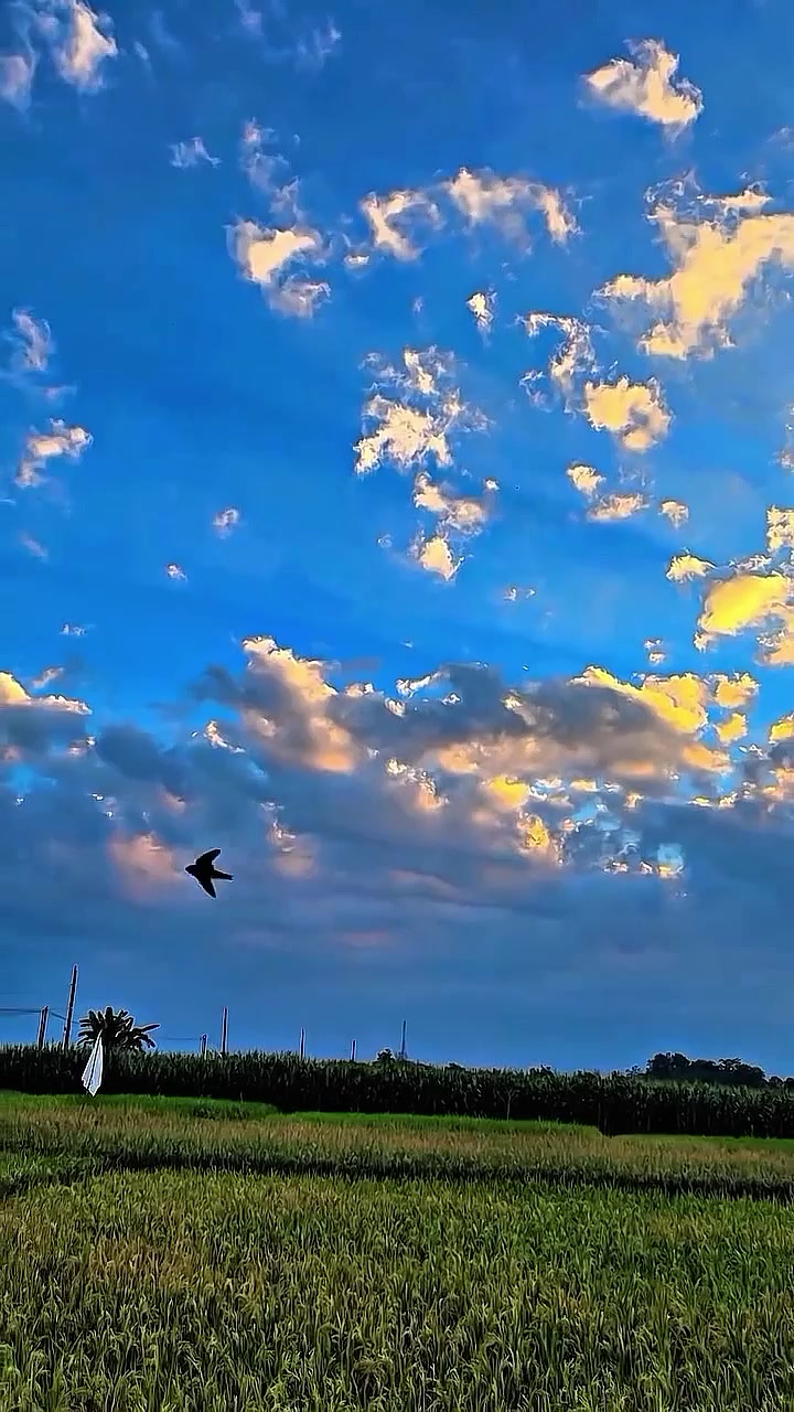 @𝑱𝑨𝑽𝑨ⁿᵉˢᵉ ☮︎