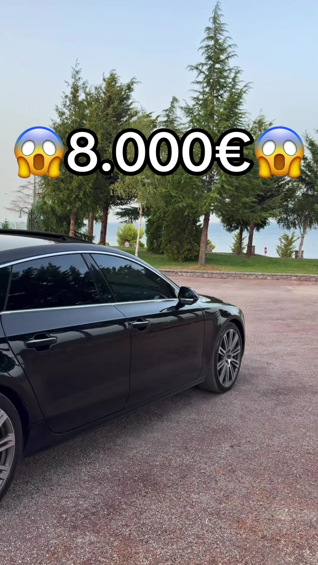 @Auto Alillari