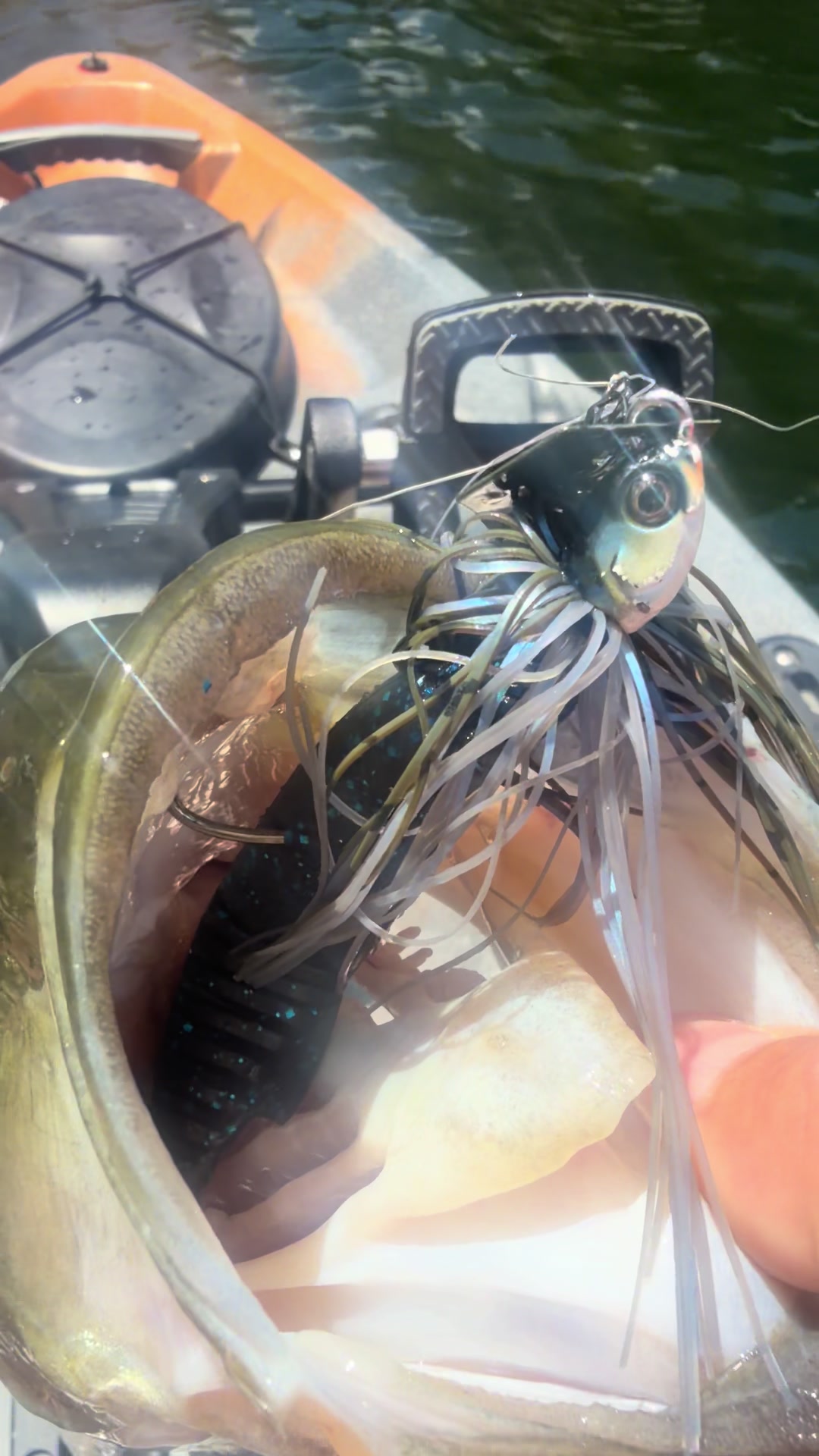 @wildbillfishing