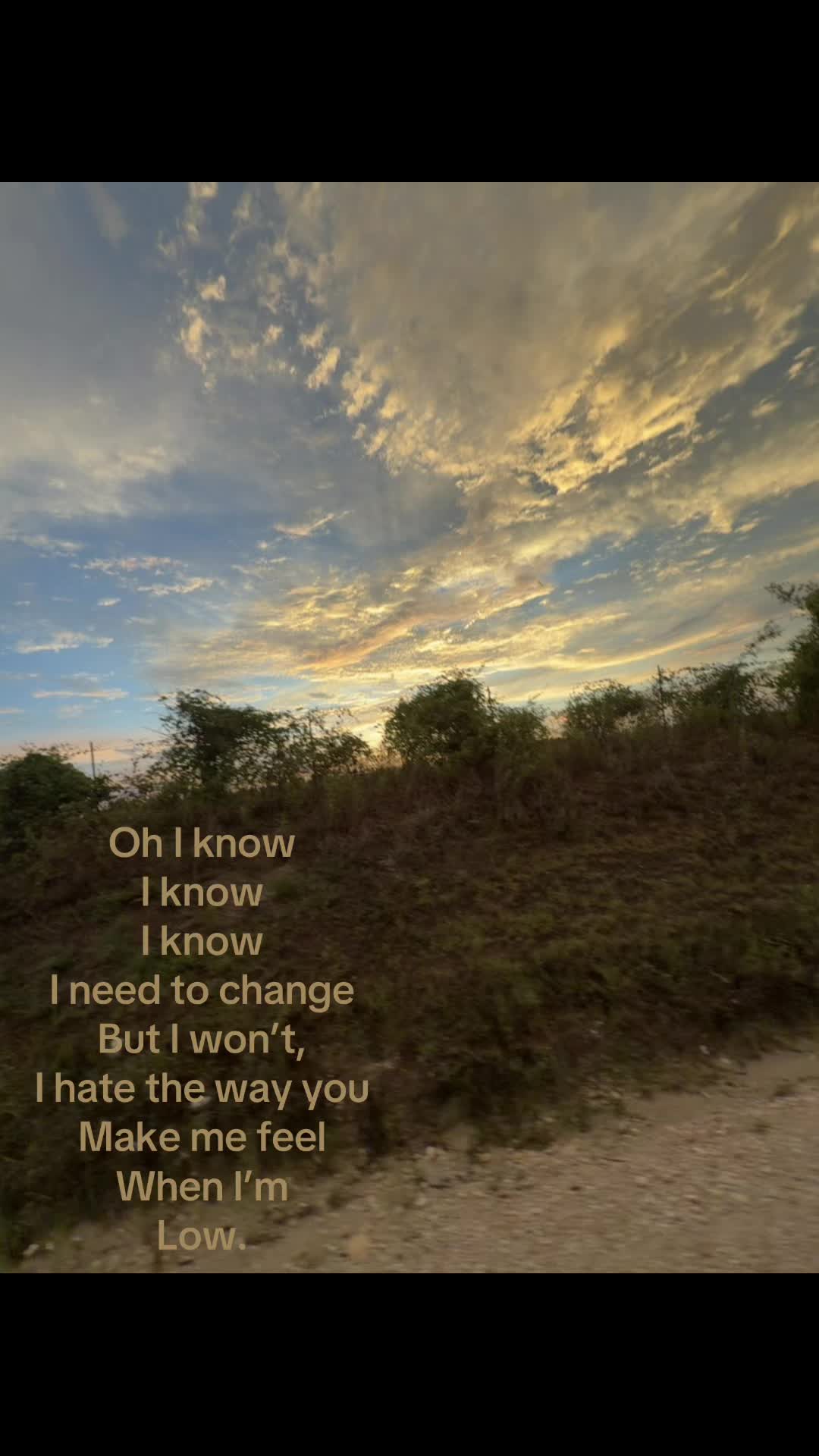 @awsomecat2011