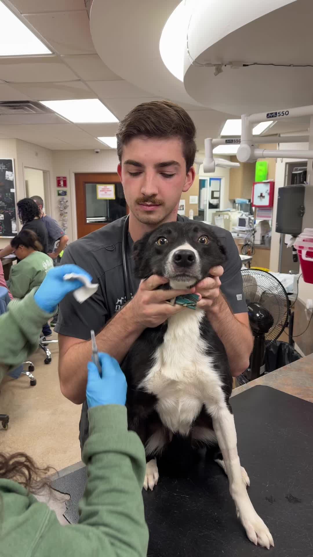 @Nebraska Animal Medical Center