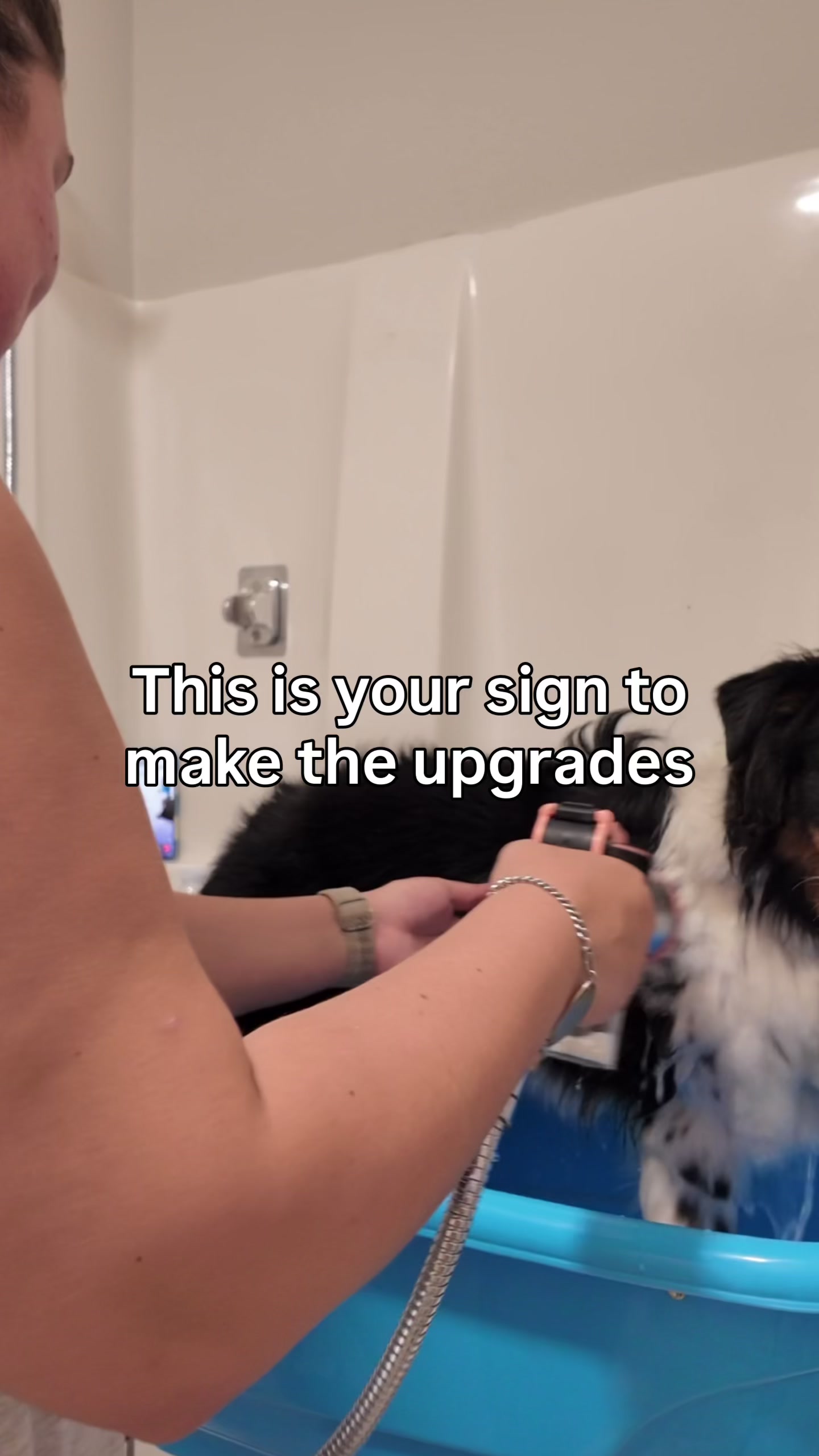 @thesaltysheps