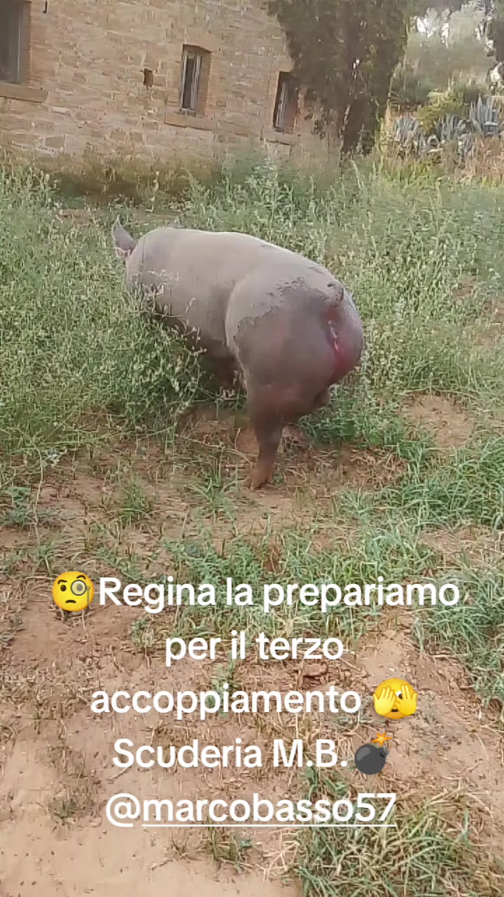 @Stefano Zagara