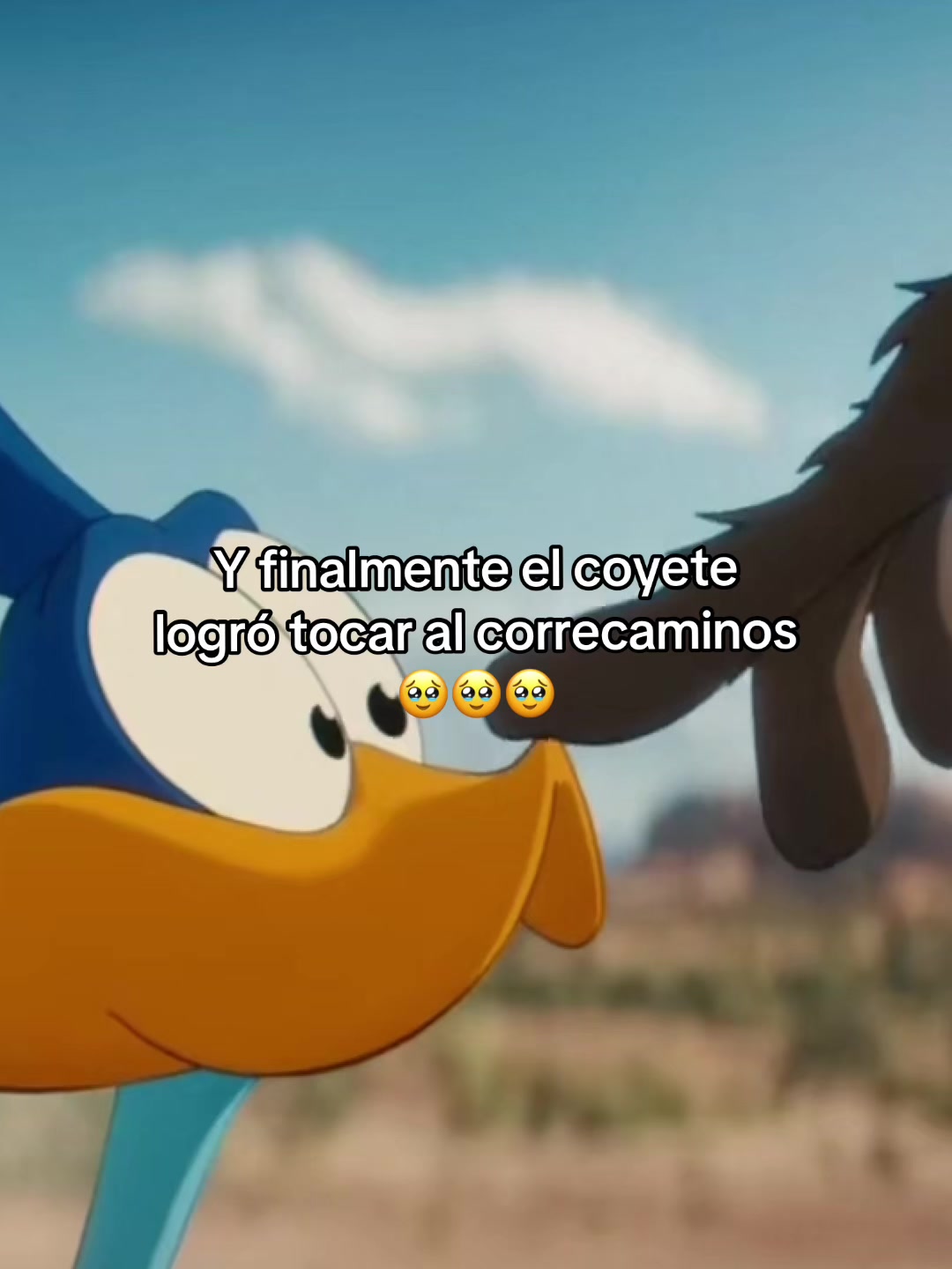 @Toluca FC