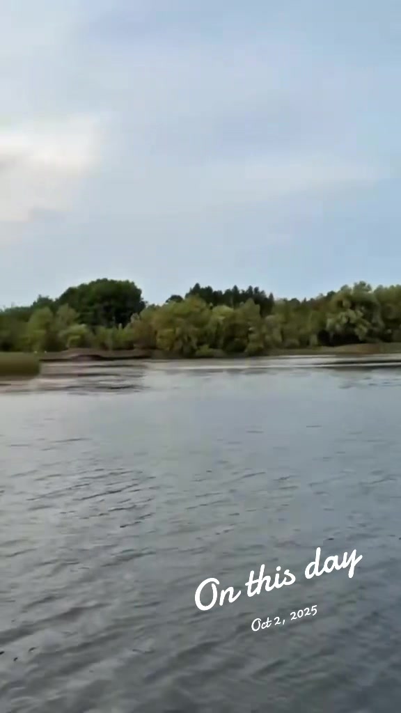 @Zoya