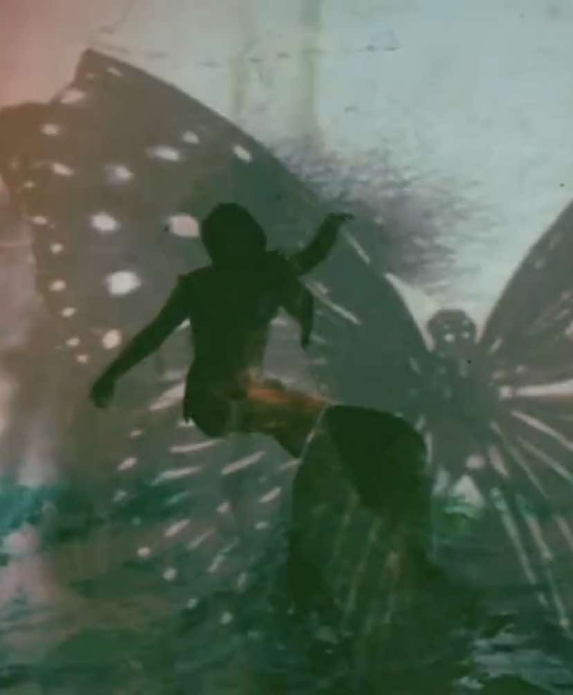 @💘🐯🦄🦋🍀🐠🌟