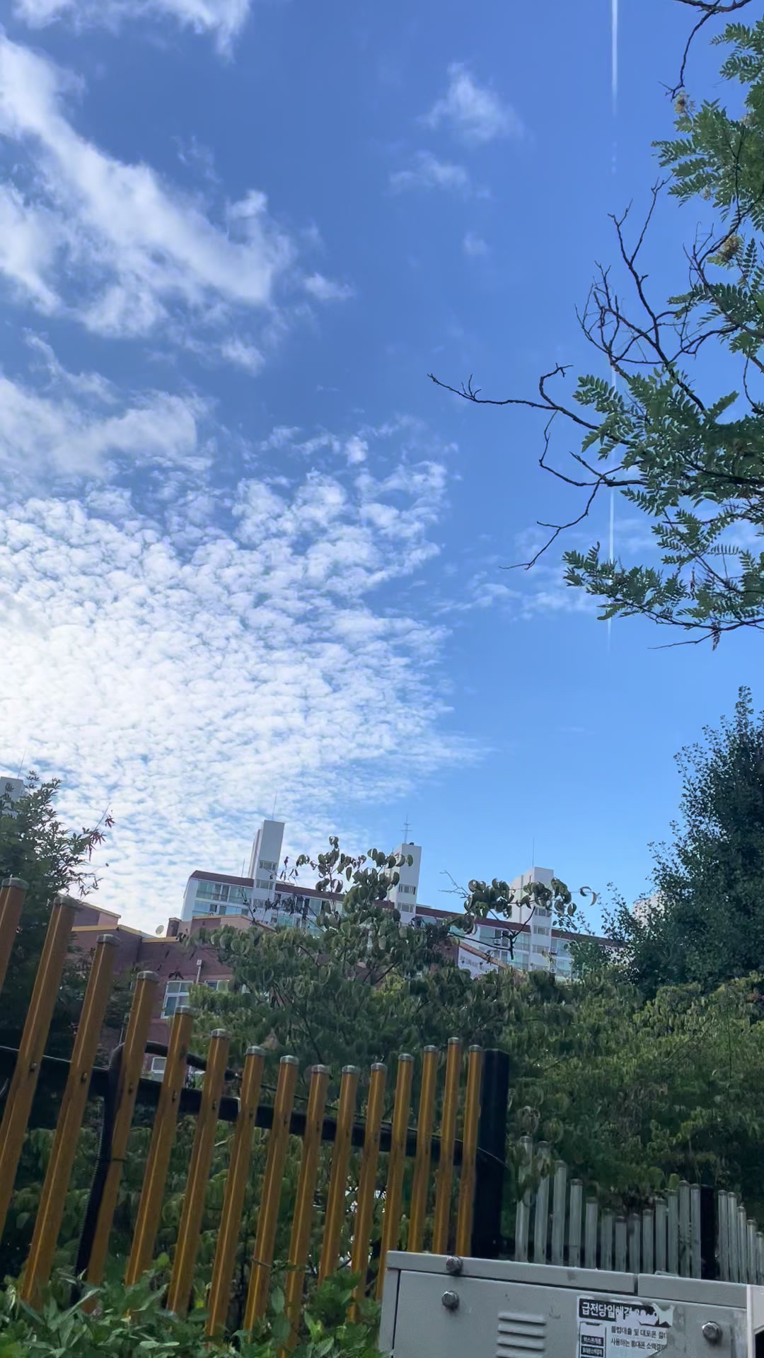@도연