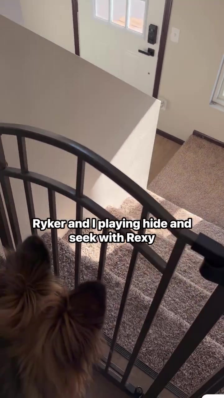 @Sydnie Gamroth