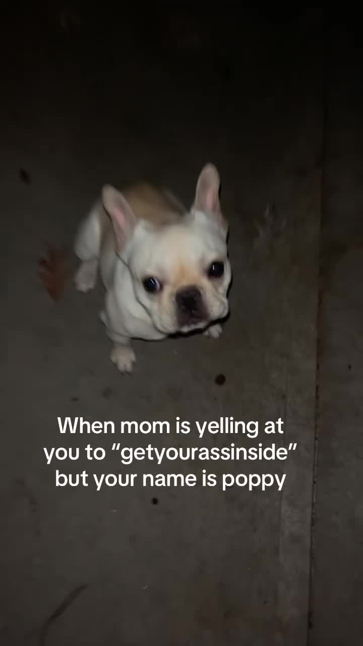 @ALLY