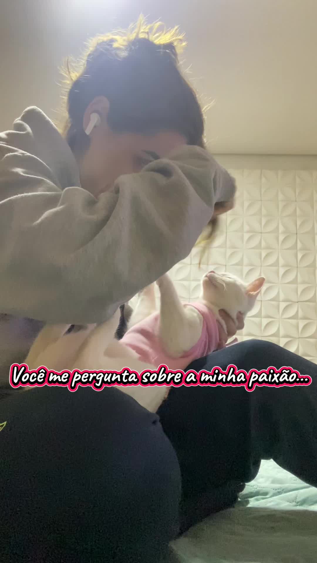 @Karoleos12gatos