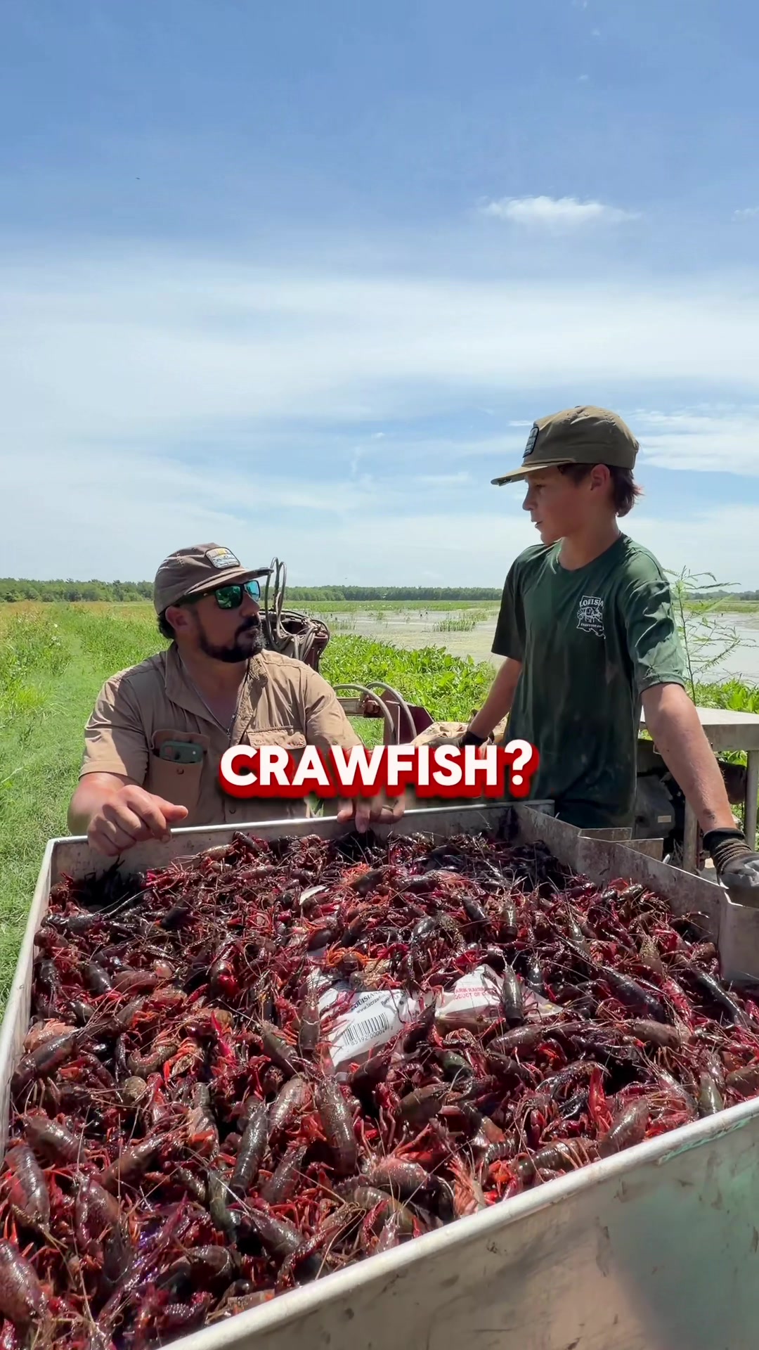 @louisianacrawfishco