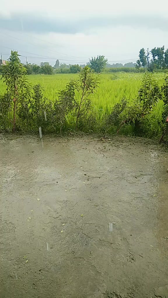 @(माइली)Sita