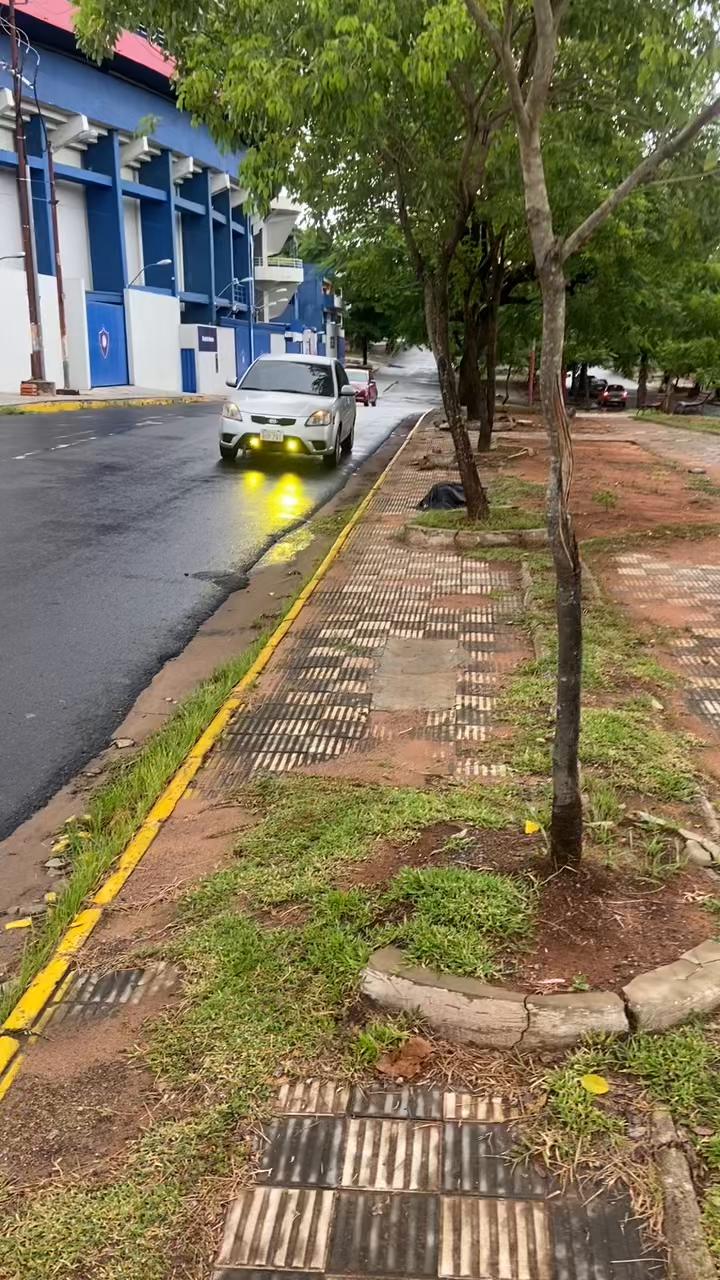 @crisjunior1996