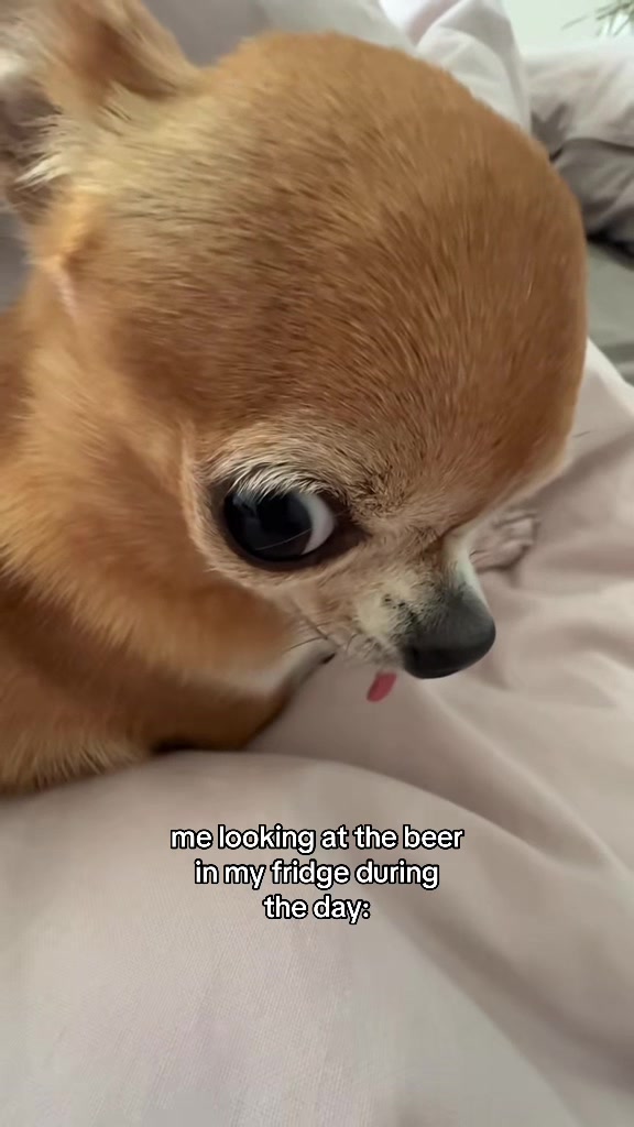 @finonka