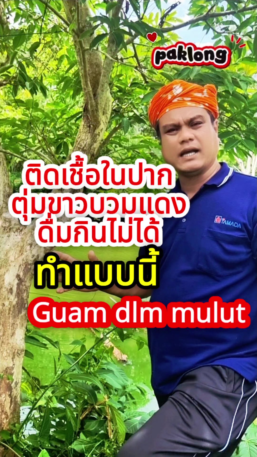 @Paklong Herb