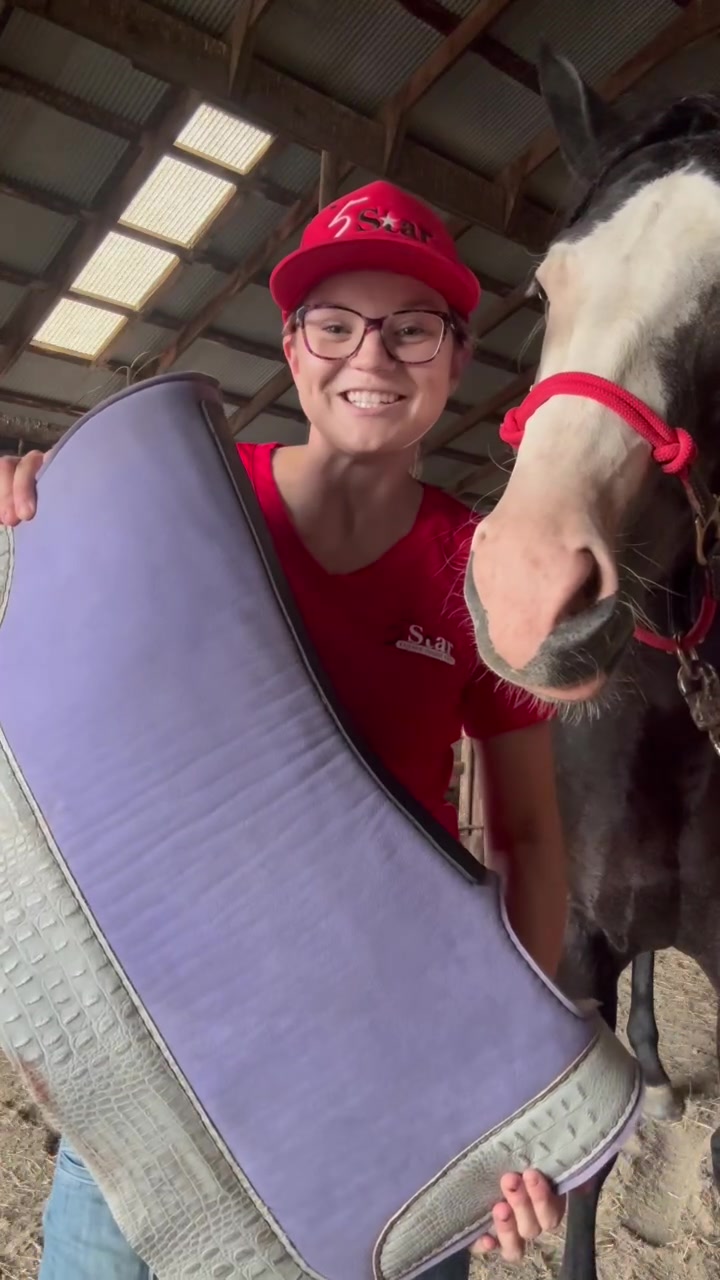 @5 Star Equine
