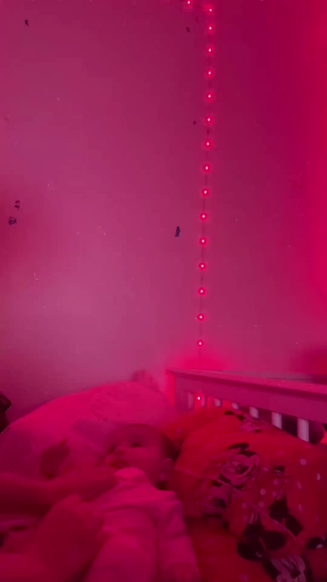 @Bella