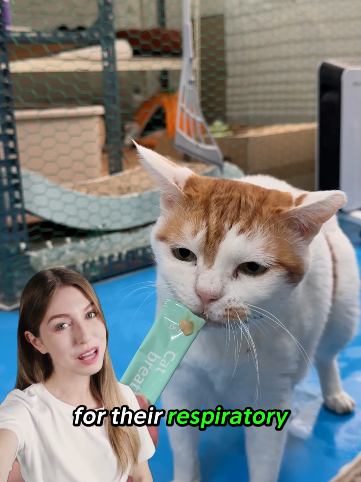 @Doctor By