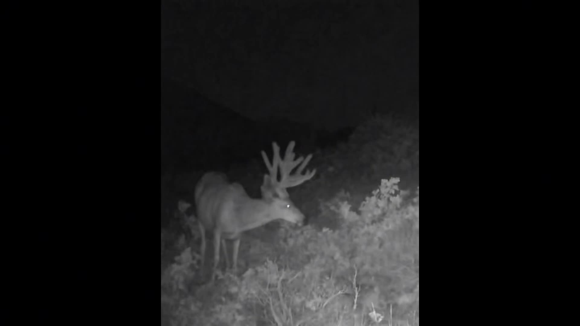 @Nielsen Brothers Outdoors