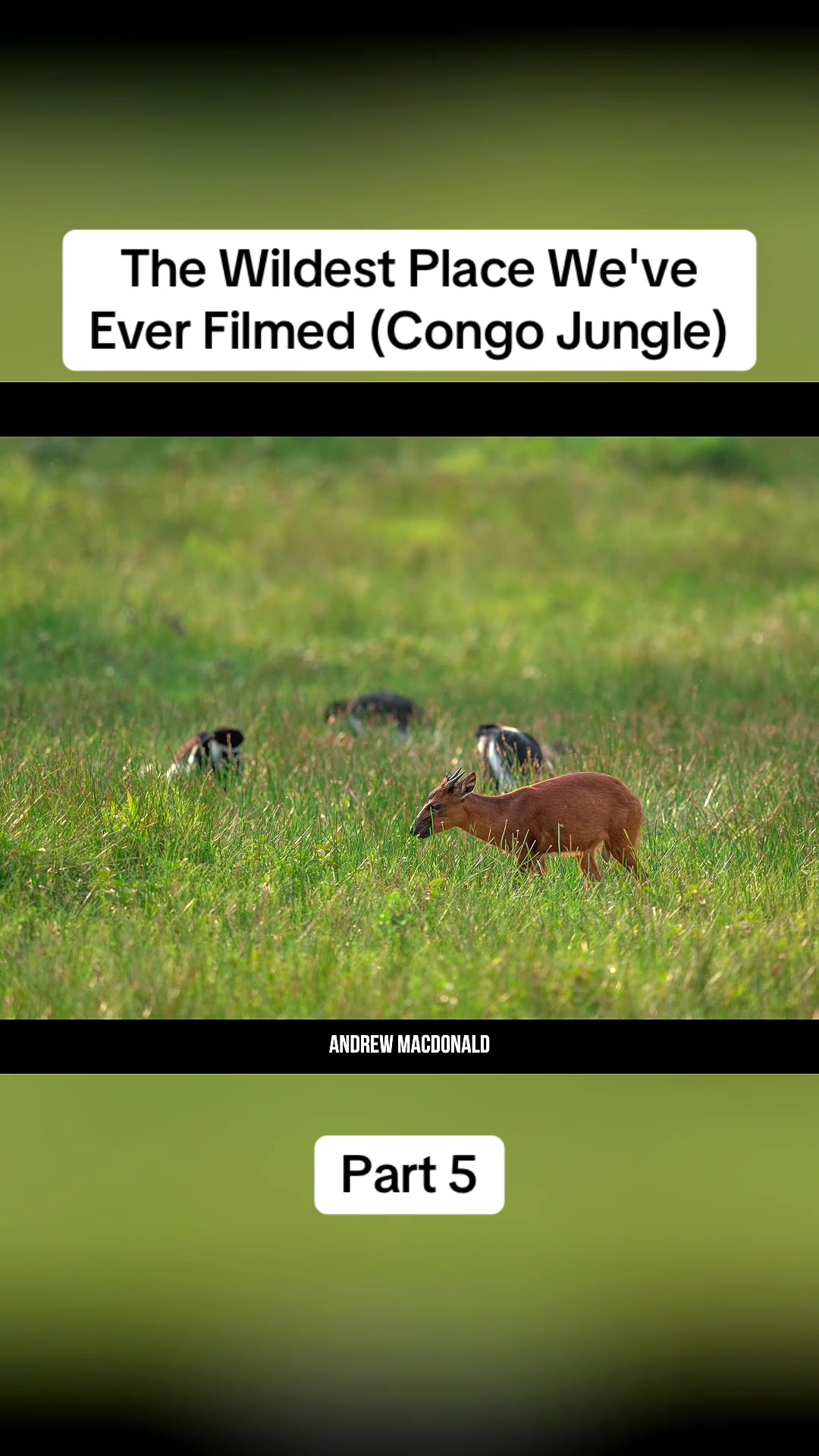 @DonkiGeo