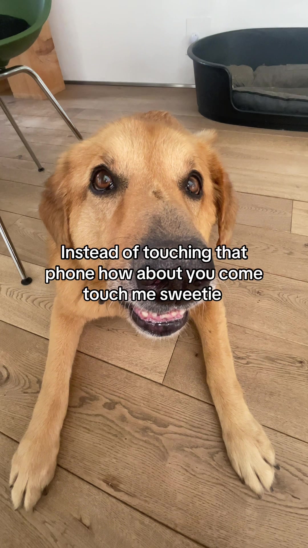 @Neo