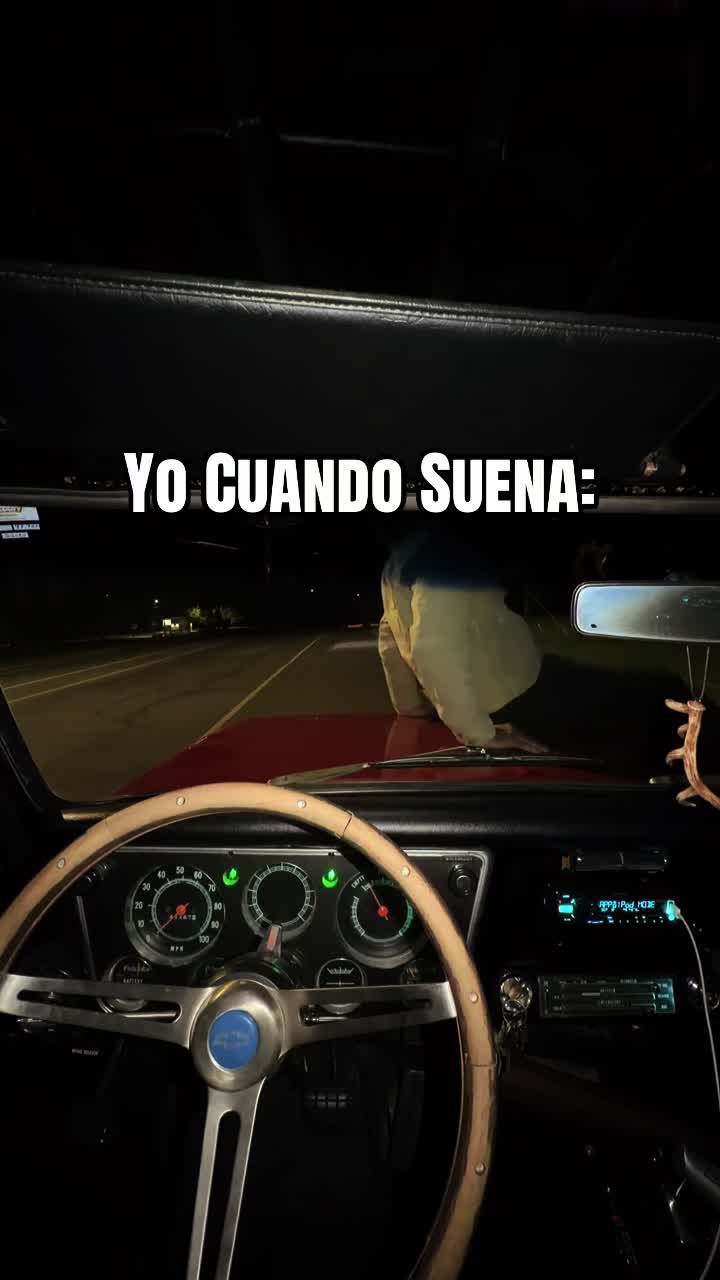 @Christopher León