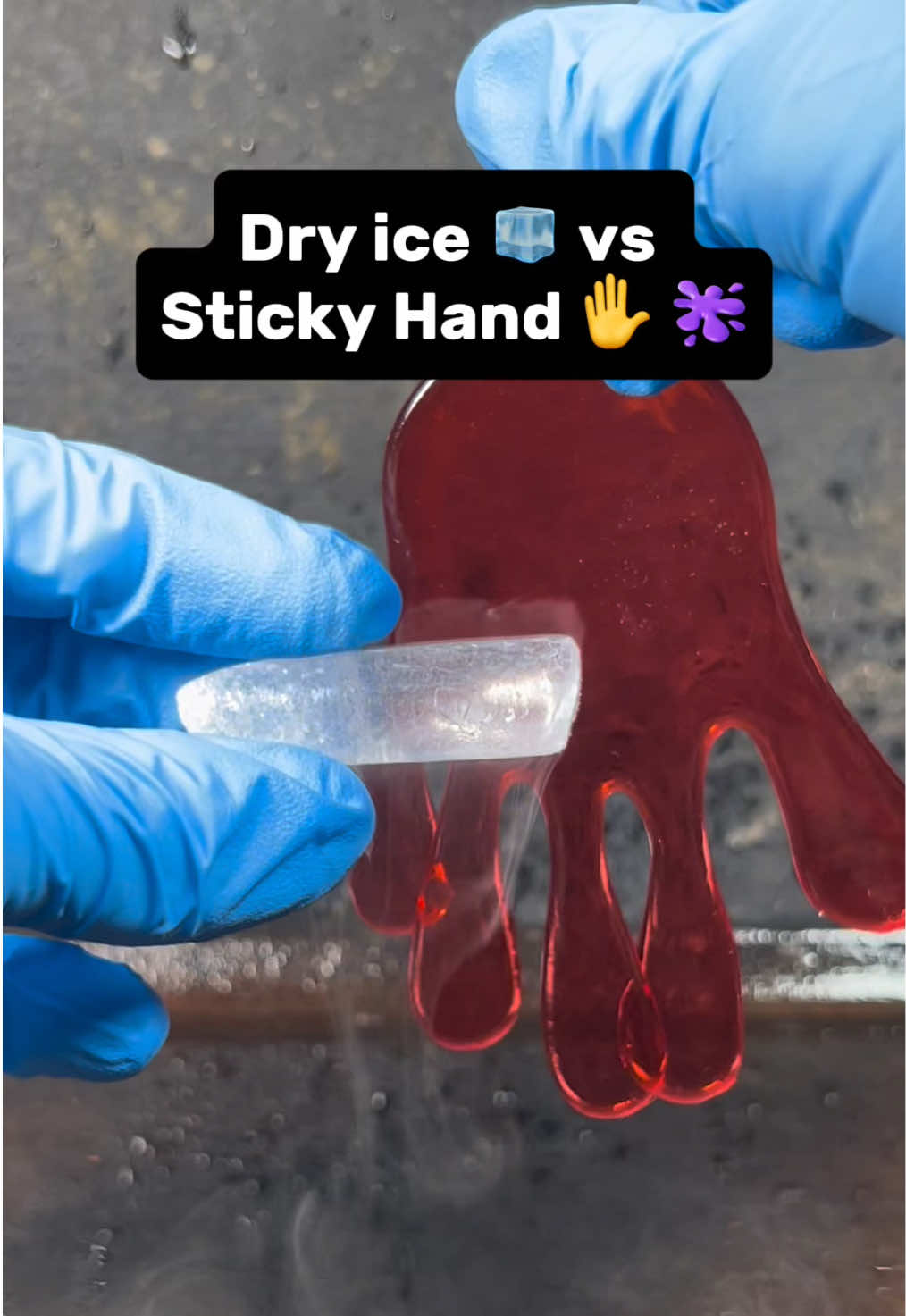 @FloridaFoxAnthillArt