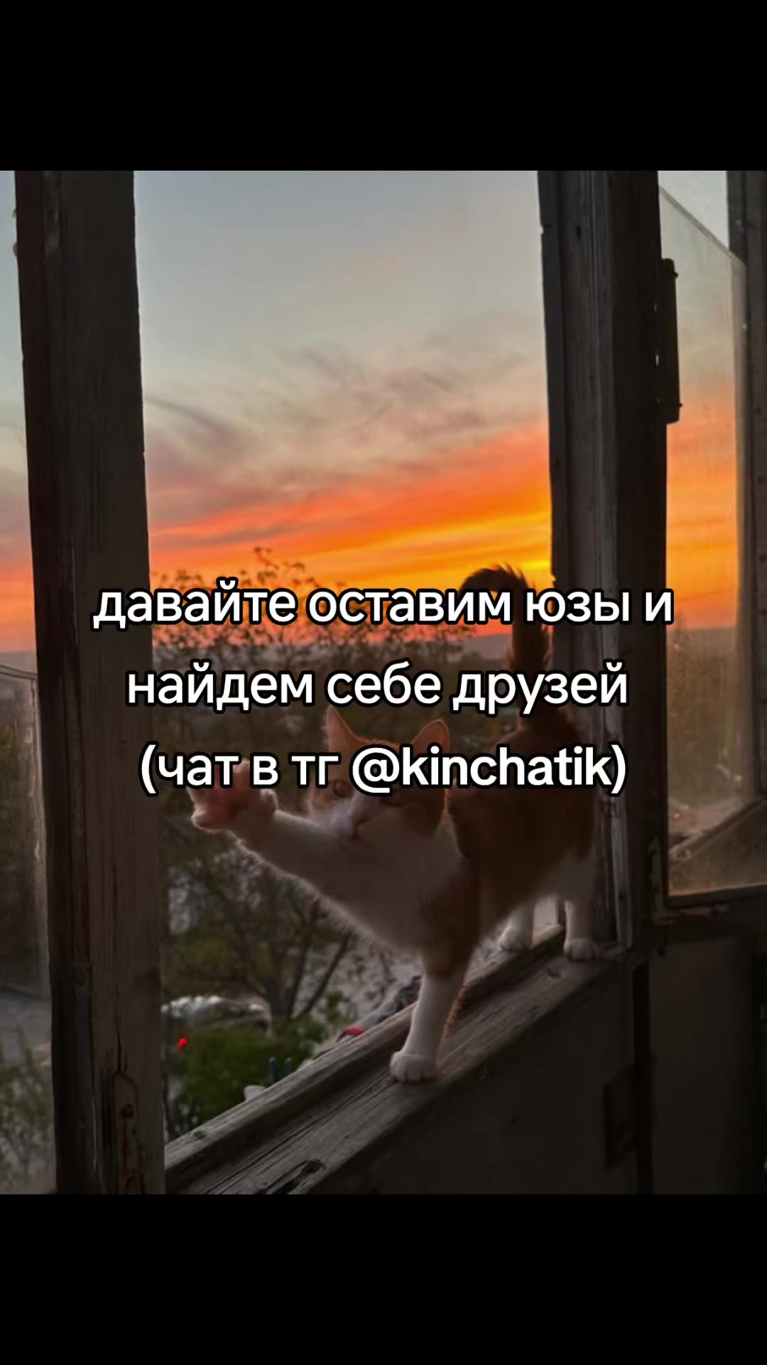 @cqtagger