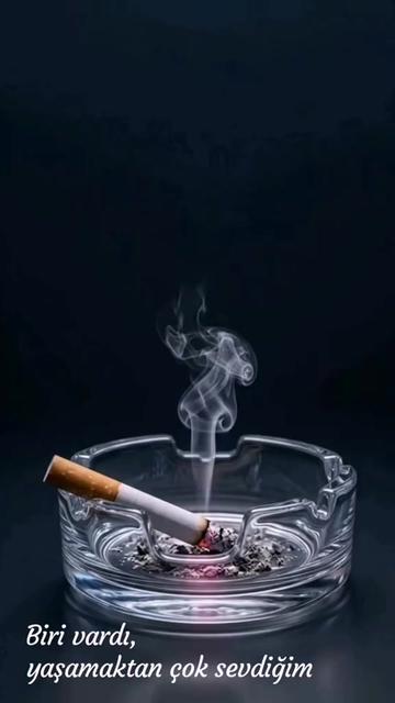 @BİR SERÇENİN GÖZYAŞ🕊️🕊️🕊️