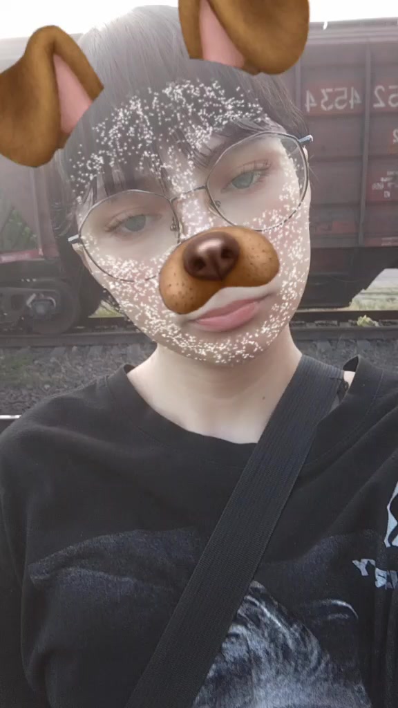 @vladadigs