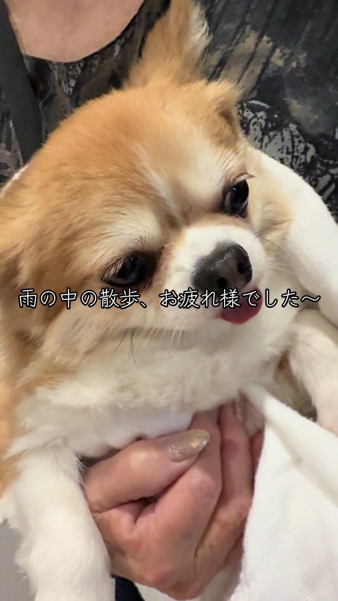@心太