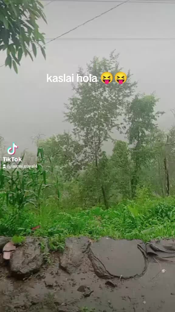 @Laxmi Suyal