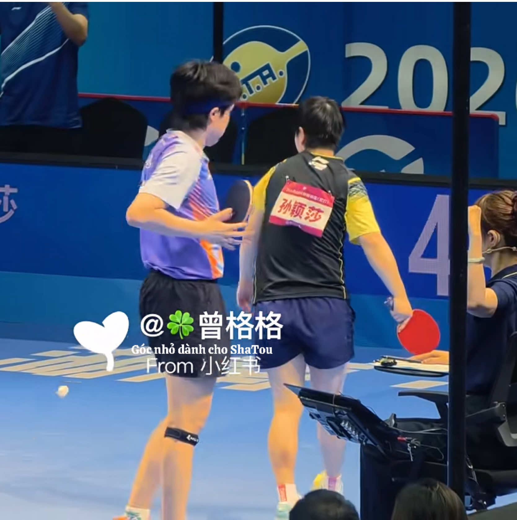 @Góc nhỏ dành cho ShaTou🦁🦈❤️