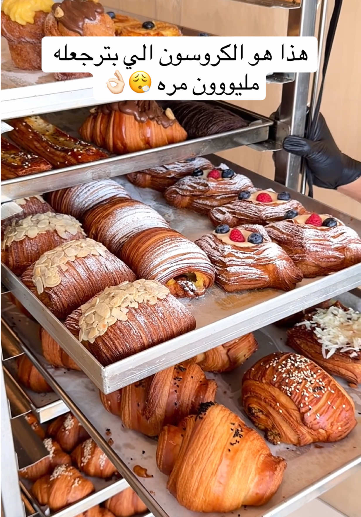 @فعاليات ومطاعم جدة📍| هادي