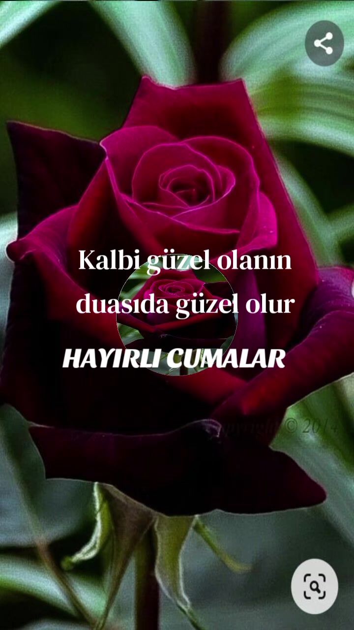 @Fatma Bolat