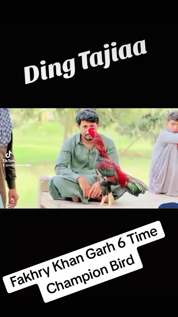 @ملک عاصم سندیلہ
