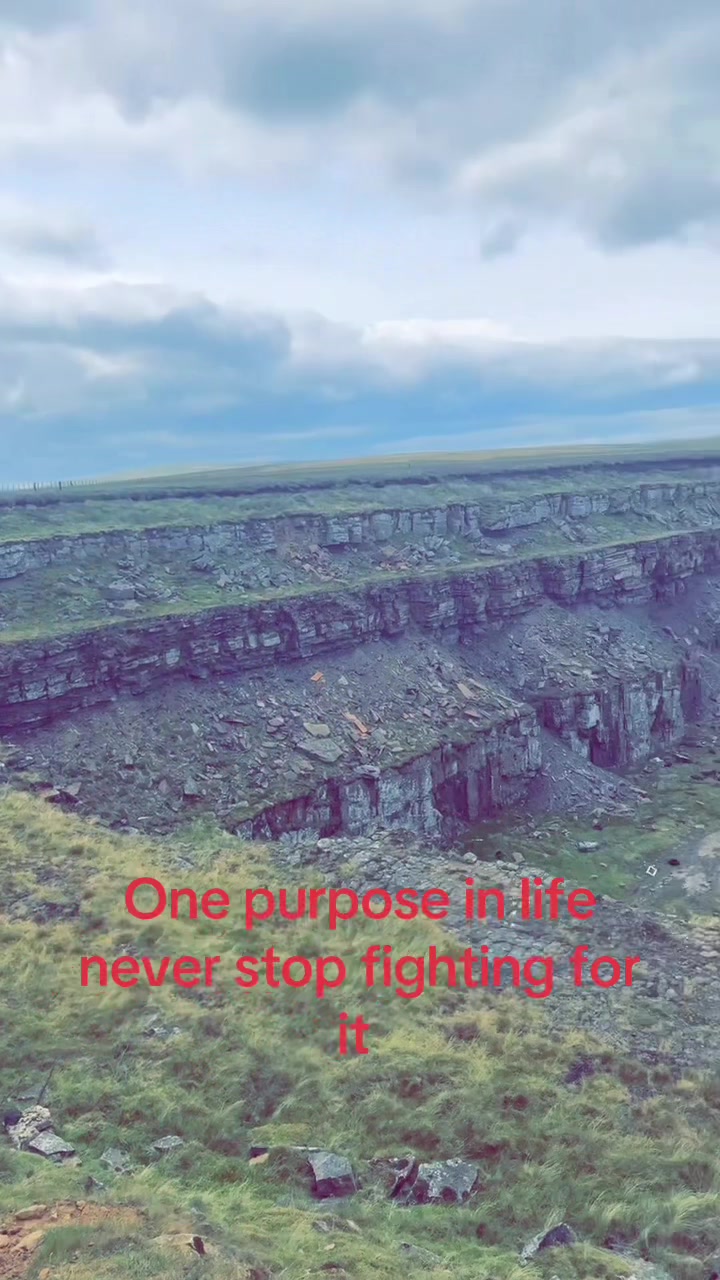 @Reeceybee