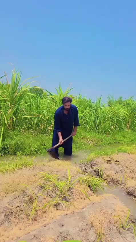@جانی چٹھہ ــ کوٹلے ــ آلہ143✨✨