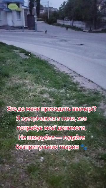 @viktoria)