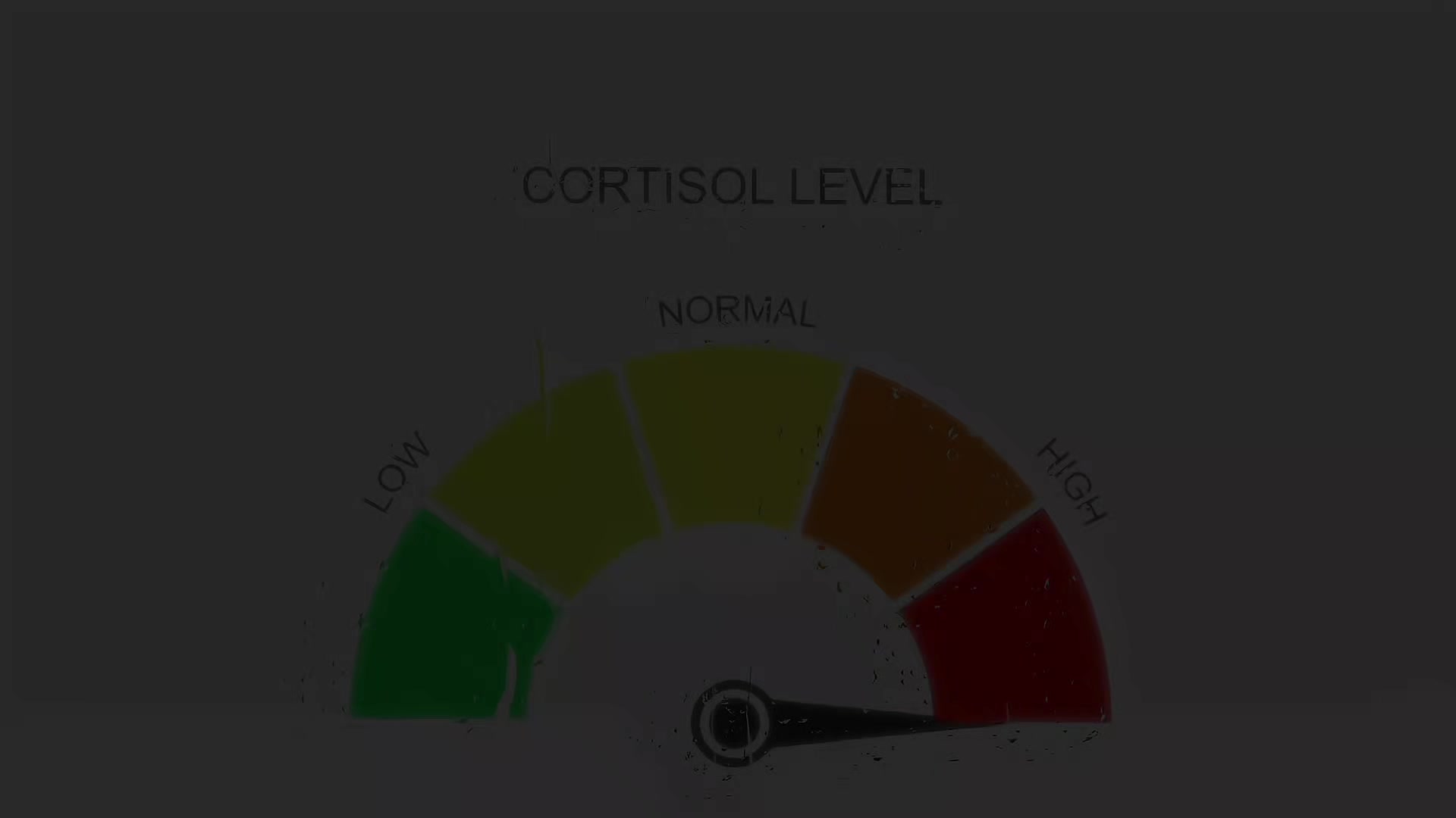 @々Rinz`𝐙𝐨𝐥𝐝𝐲𝐜𝐤