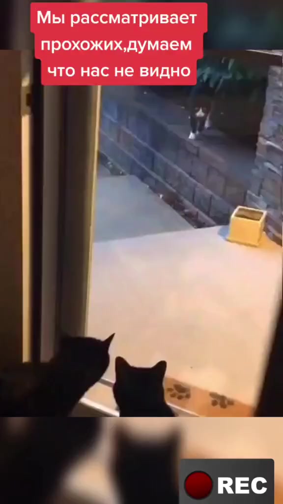 @Лариса