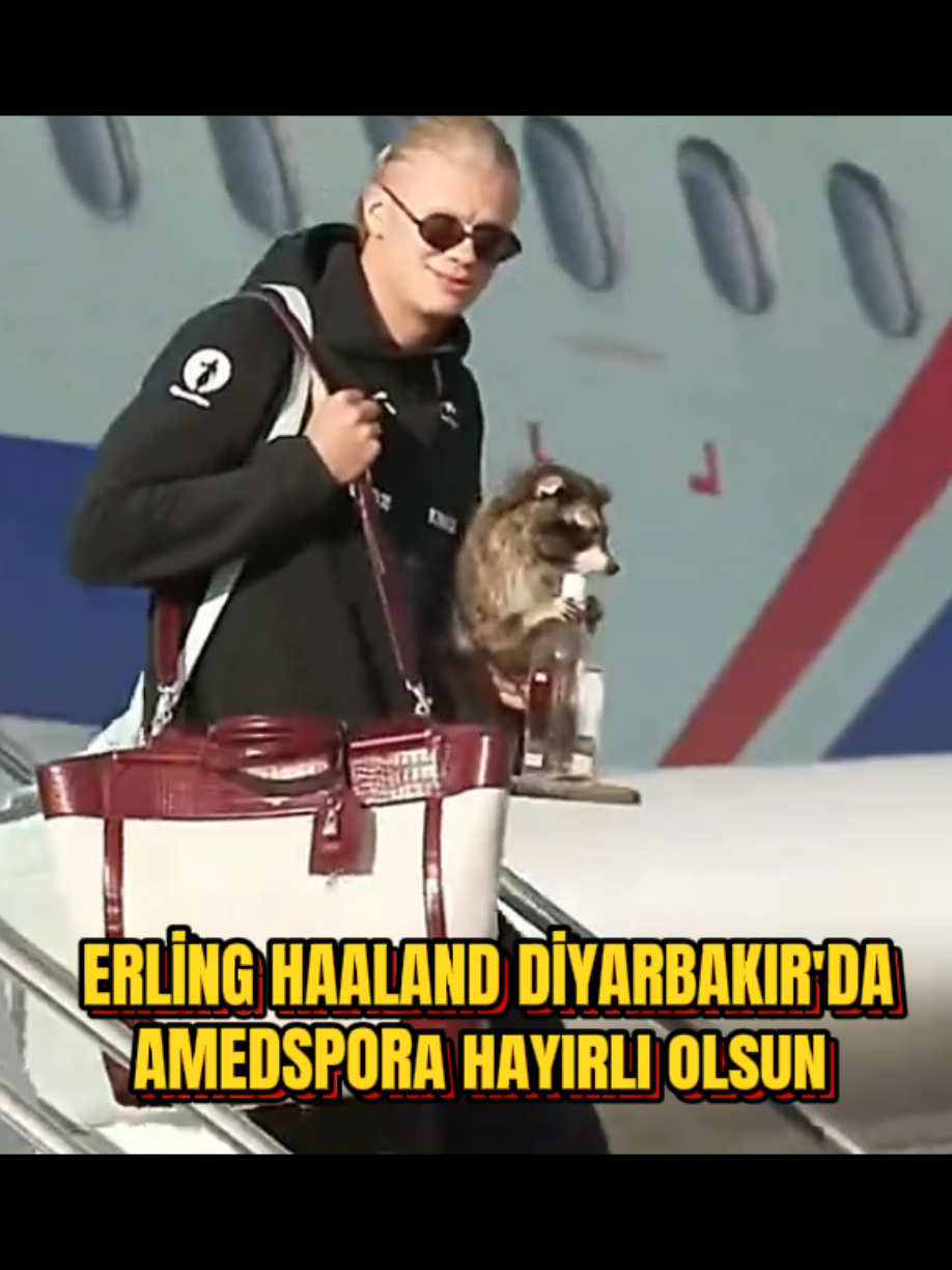 @AMED TRANSFER