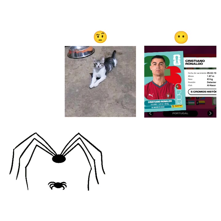 @mohabragas
