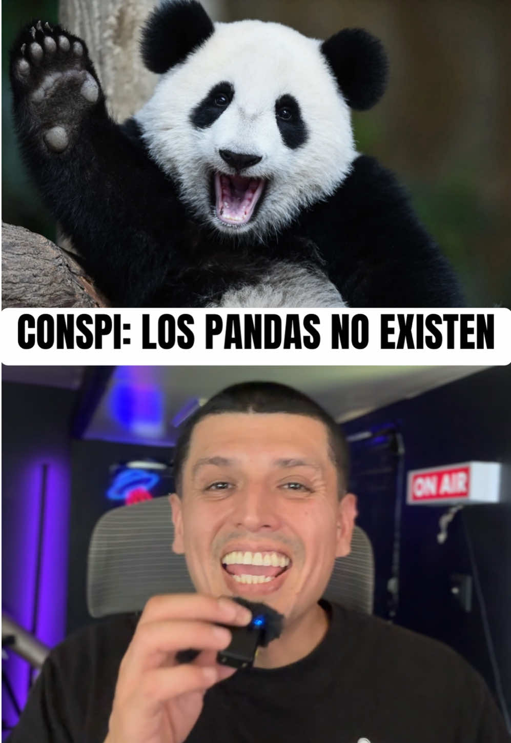 @NUEVO MILENIO